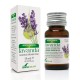 Soria Natural Esencia de Lavanda, 15 ml