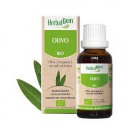 Herbalgem Olivo, 15 ml