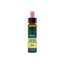 Plantis Leche Gallina-29 Eco Elixir Floral (Dr. Bach), 10 ml