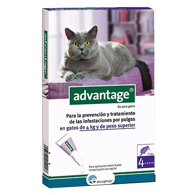 Advantage-80 gato 4-8 kg 4 pipetas