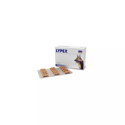 Lypex 60 comp