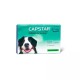 Capstar 57 mg 6 pastillas