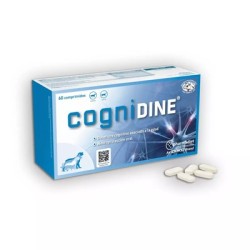 Cognidine 60 comp