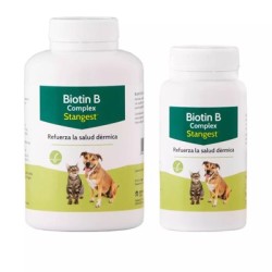 Biotin b complex 100 comp