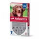 Advantix 25 - 40 kg 1 pip x 4 ml