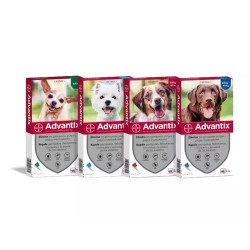 Advantix 25 - 40 kg 4 pipetas x 4 ml