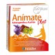 Ynsadiet Animate Plus, 30 capsulas