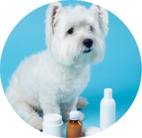 Suplementos para mascotas