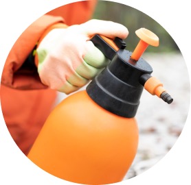 Repelentes e Insecticidas