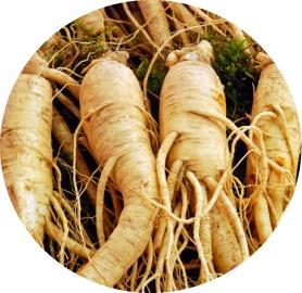 Ginseng