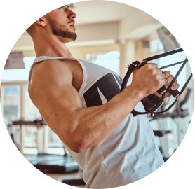 Recuperadores Musculares