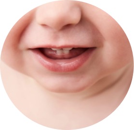 Primeros Dientes