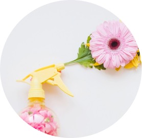 Gases o flatulencias